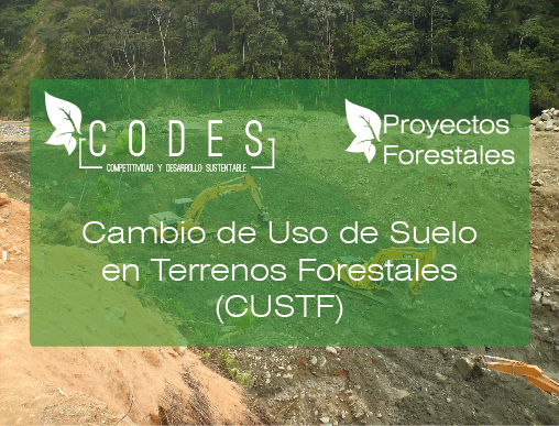 Cambio de Uso de Suelo en Terrenos Forestales (CUSTF)