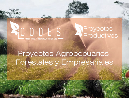 Proyectos Agropecuarios Forestales y Empresariales 